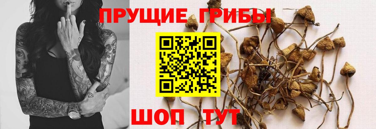 Галлюциногенные грибы GOLDEN TEACHER Алатырь